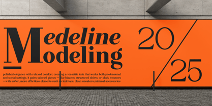 Quinela Font Poster 10