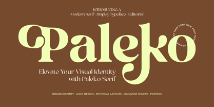 Paleko Font Poster 1