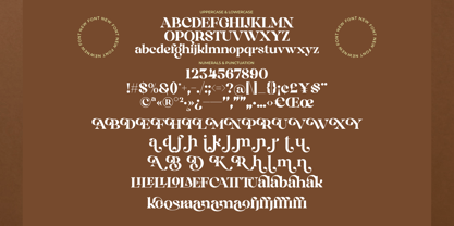 Paleko Font Poster 10