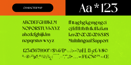 Excite Brands Font Poster 6