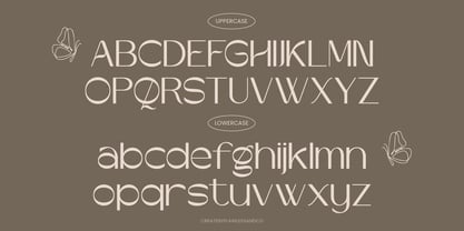 Amoura Font Poster 8
