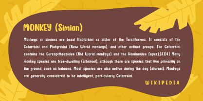 Capuchin Font Poster 7