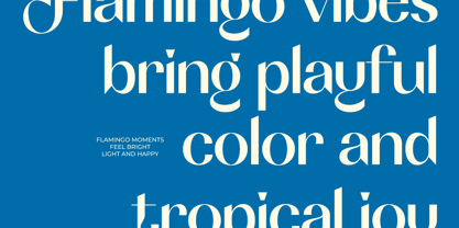Soltina Font Poster 3