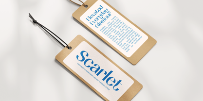 Soltina Font Poster 2