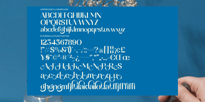 Soltina Font Poster 10