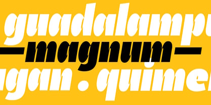 Exedra Font Poster 12