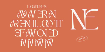 Berlyne Font Poster 7