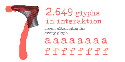 Eryka Font Poster 5