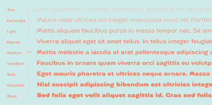 Mommommy Font Poster 10