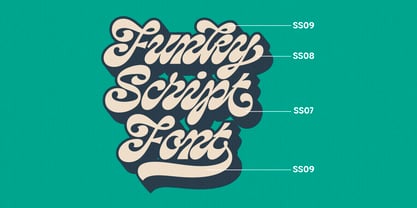Loopin Script Font Poster 9