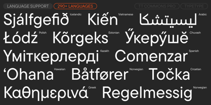 TT Commons Pro Font Poster 7