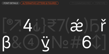 TT Commons Pro Font Poster 15
