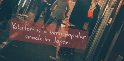 Yakitori Alley Pro Font Poster 4
