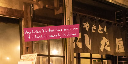 Yakitori Alley Pro Font Poster 5