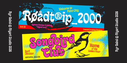 Ayr Babol Font Poster 12