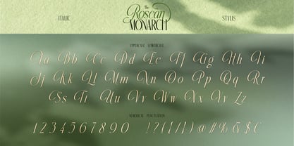 Rosean Monarch Font Poster 8