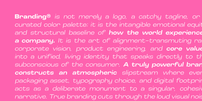 Finlado Variable Font Poster 6