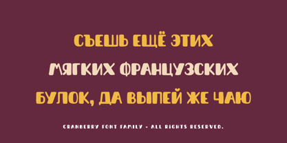 Cranberry Font Poster 11