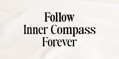 Authors Special Font Poster 14