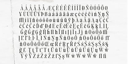 Authors Special Font Poster 11