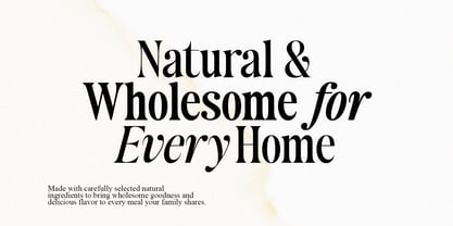 Authors Special Font Poster 2