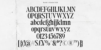 Authors Special Font Poster 13