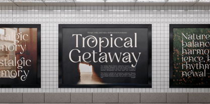 Mildon Font Poster 9
