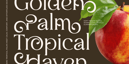 Mildon Font Poster 7