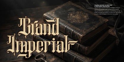 Chronicle Reign Font Poster 2