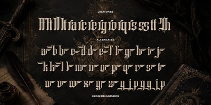 Chronicle Reign Font Poster 12