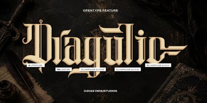 Chronicle Reign Font Poster 10