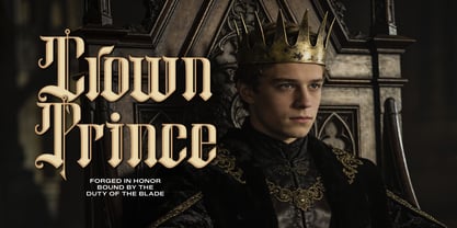 Chronicle Reign Font Poster 4