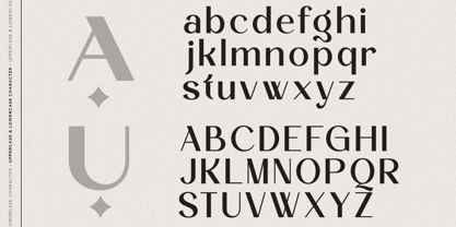 Deluxe Fashion Font Poster 9