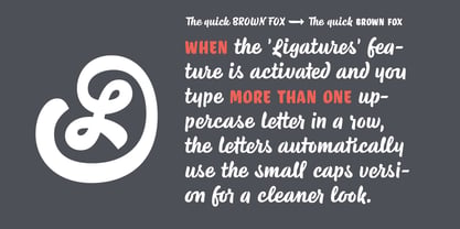 Luise Font Poster 9