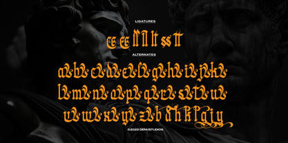 Wielgard Font Poster 12