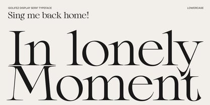 Golifez Bright Serif Font Poster 14
