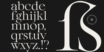 Golifez Bright Serif Font Poster 10