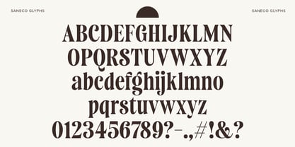 Saneco Font Poster 7