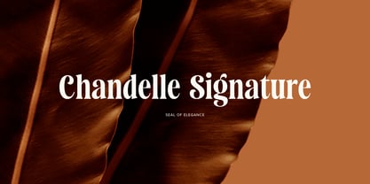 Saneco Font Poster 12