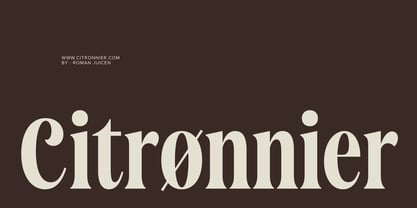 Saneco Font Poster 6