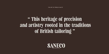 Saneco Font Poster 11