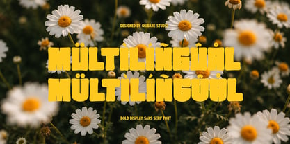 Ludes Font Poster 10