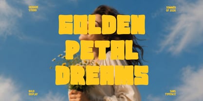 Ludes Font Poster 4