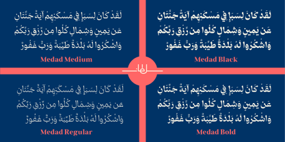 SF Medad Font Poster 9