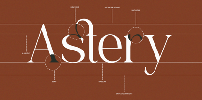Rosery Font Poster 3