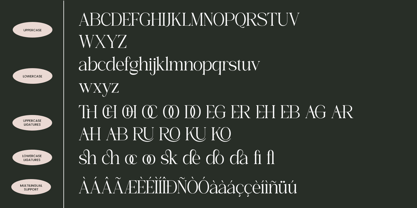 Rosery Font Poster 9