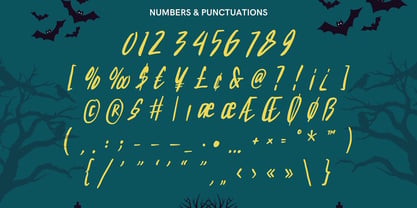 Velunea Font Poster 4