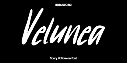Velunea Font Poster 1