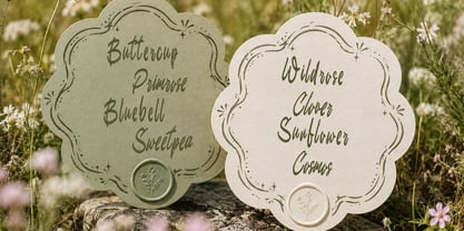 Grunger Shoter Font Poster 5