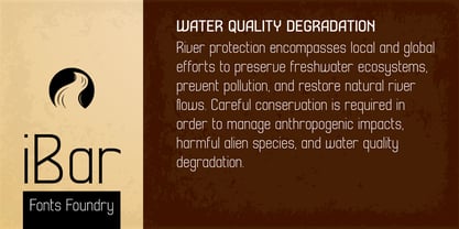 Ibar Sans Variable Font Poster 1
